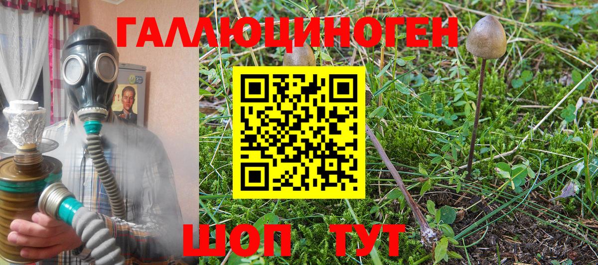 Псилоцибиновые грибы Cubensis Ипатово