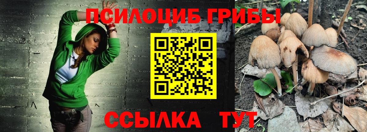 Ипатово  Галлюциногенные грибы мухоморы  Вход с VPN 